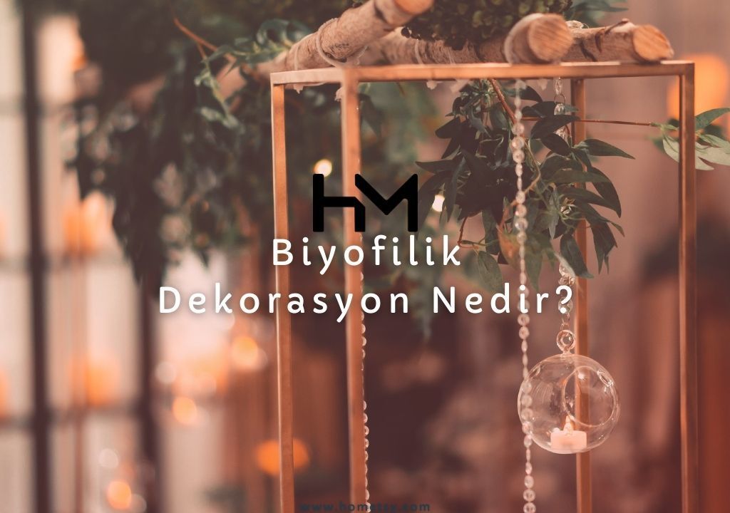 biyofilik dekorasyon nedir